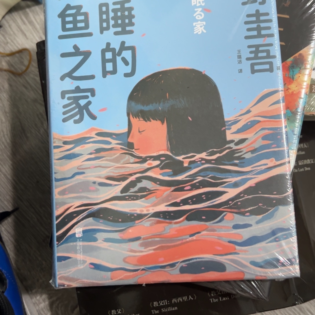 沉睡的人鱼之家十四米