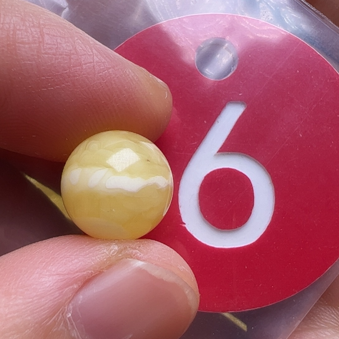 蜜蜡未镶嵌珠宝奇石10.5mm花粉