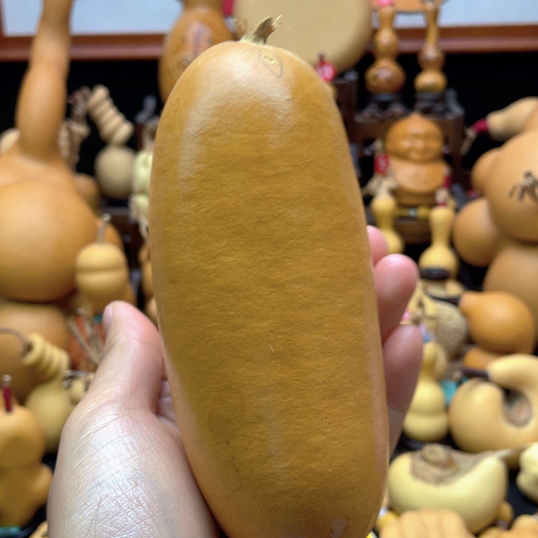 牧****玩大自然的秘密第十一章第一