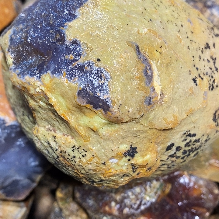 用***5定制玛瑙地哦哦小心翼翼我