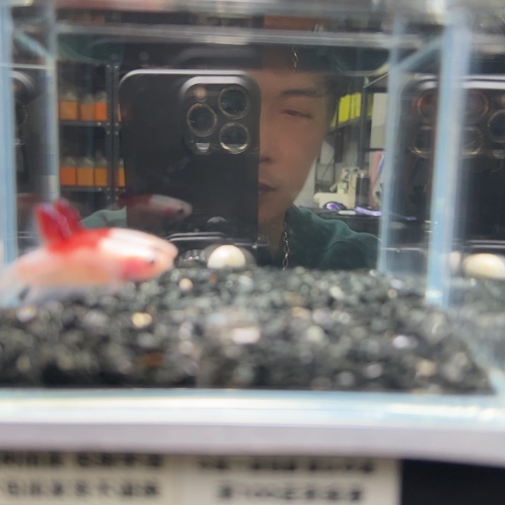 斗鱼跑单拉黑30日136