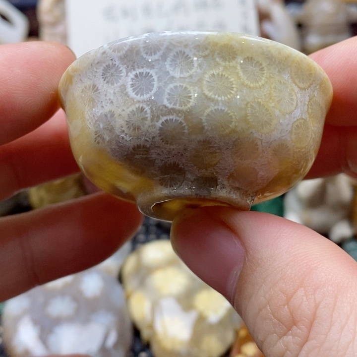 硅化珊瑚（珊瑚玉）颈饰未镶嵌