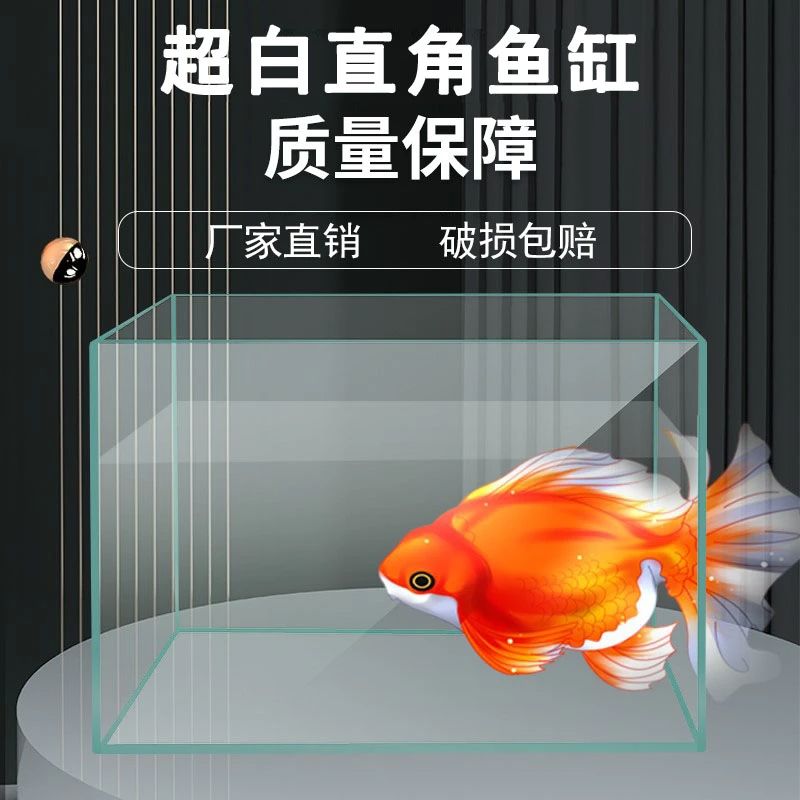 技研精工厂家直销金晶超白鱼缸玻璃桌面客厅中小型生态斗鱼金鱼缸