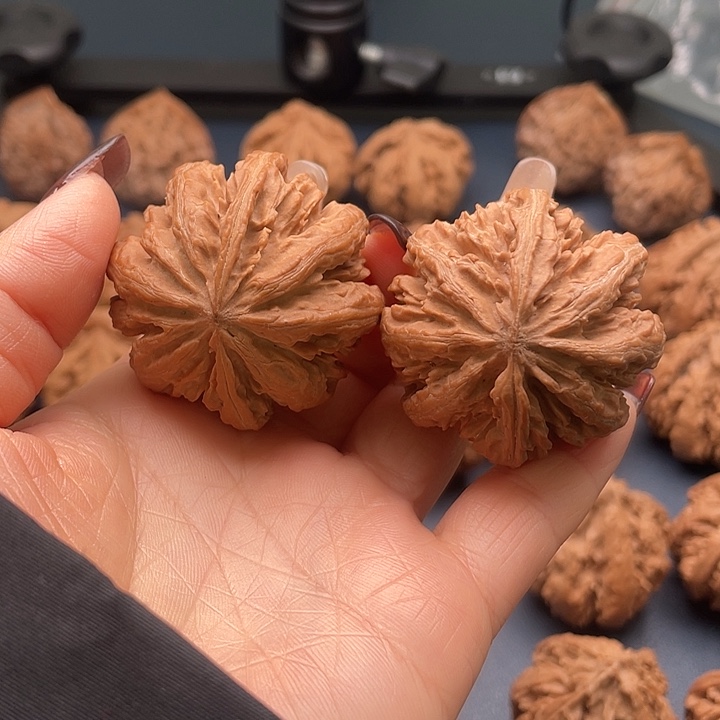 把件龙脊菩提秦岭核桃