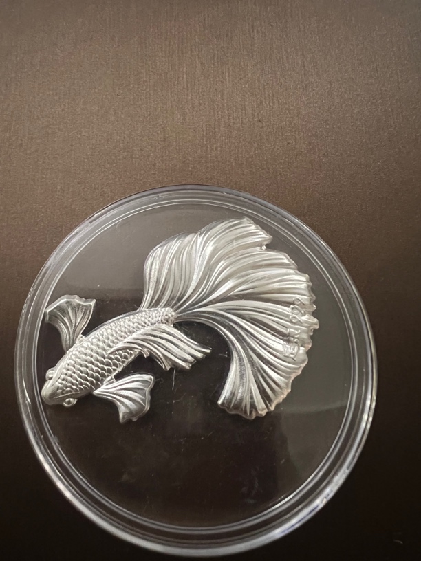 茶漂 银鱼 银叶子茶漂