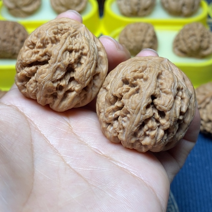 文玩核桃大粗筋39