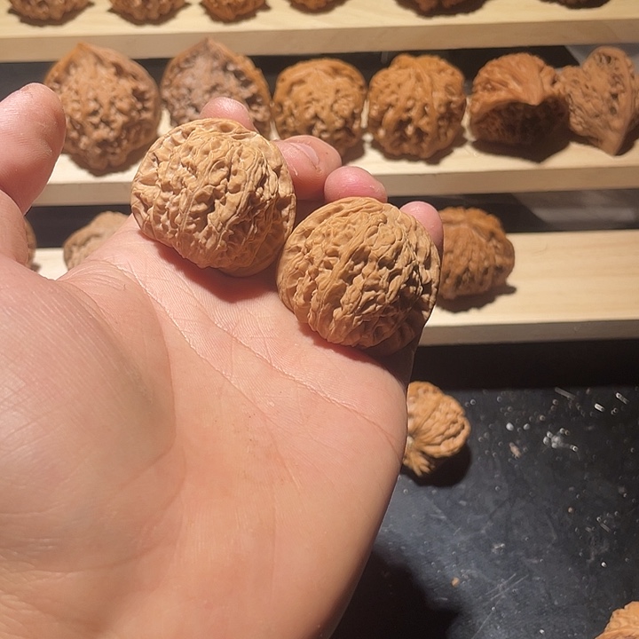 11111111111111111111