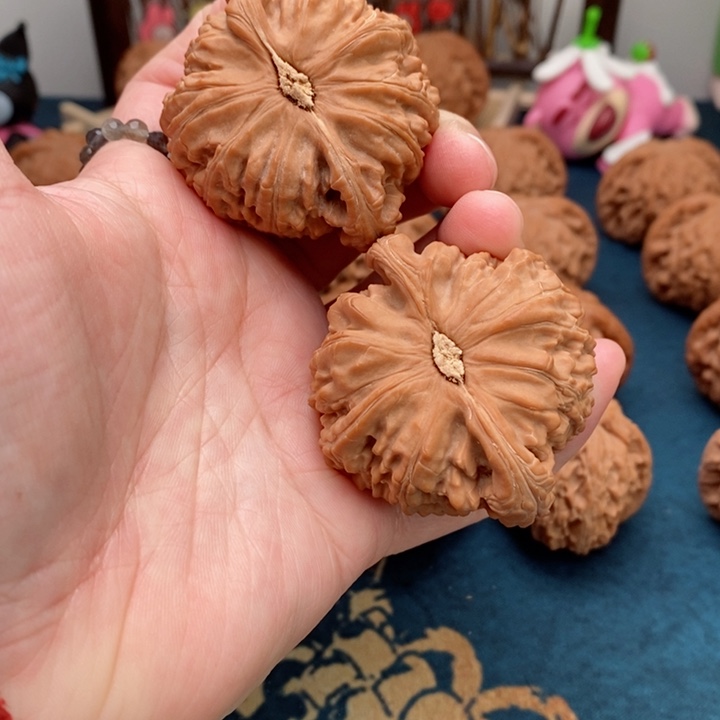 文玩核桃把件白狮子48