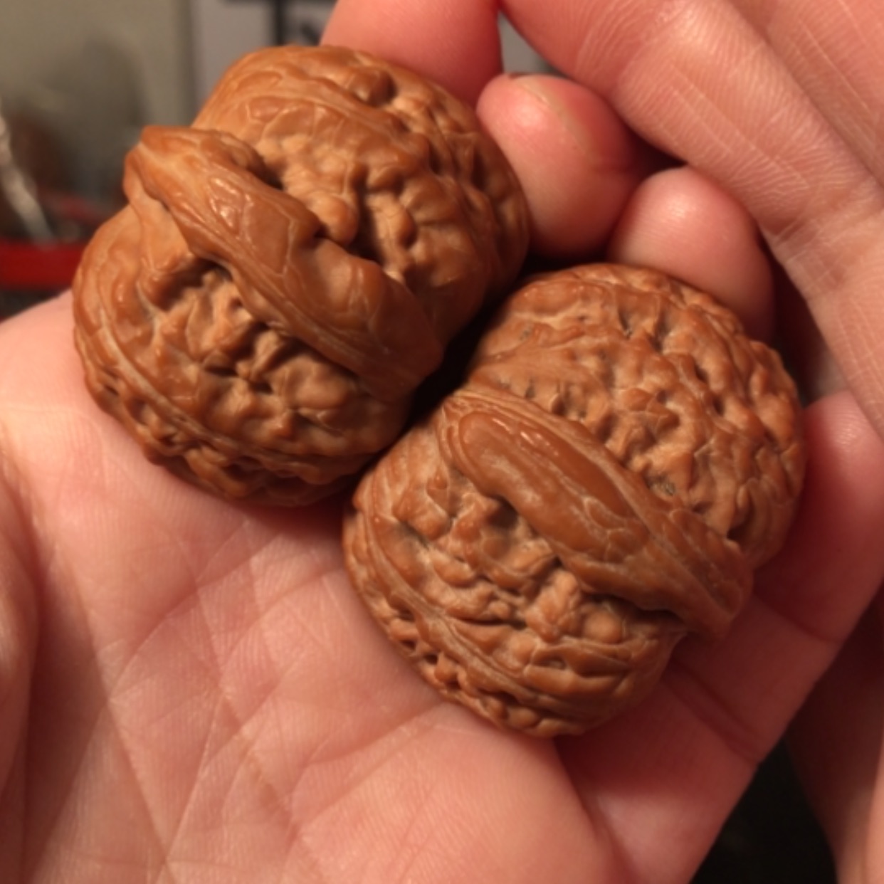【闪购商品】文玩核桃把件白狮子33