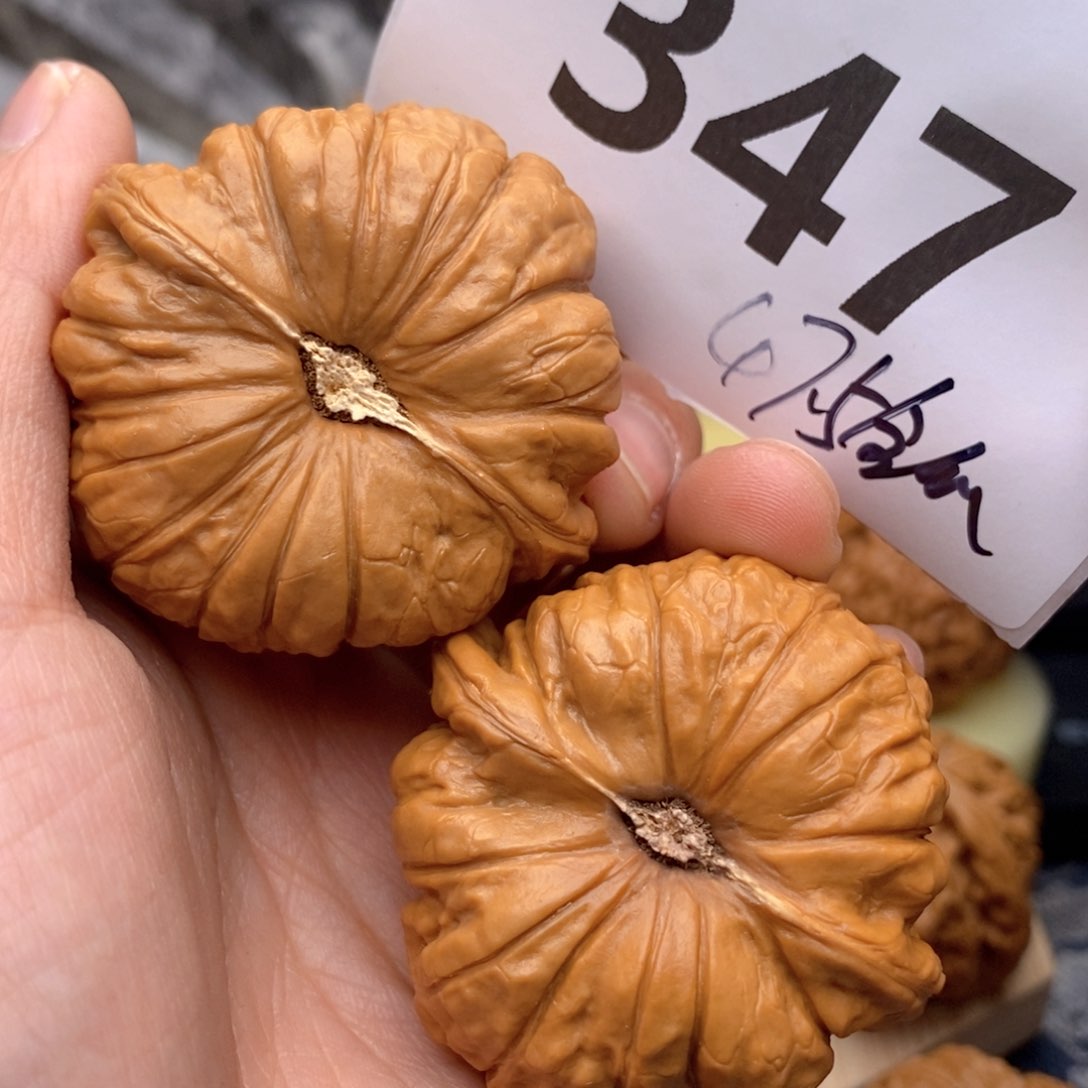 文玩核桃把件347号47.5全瓜
