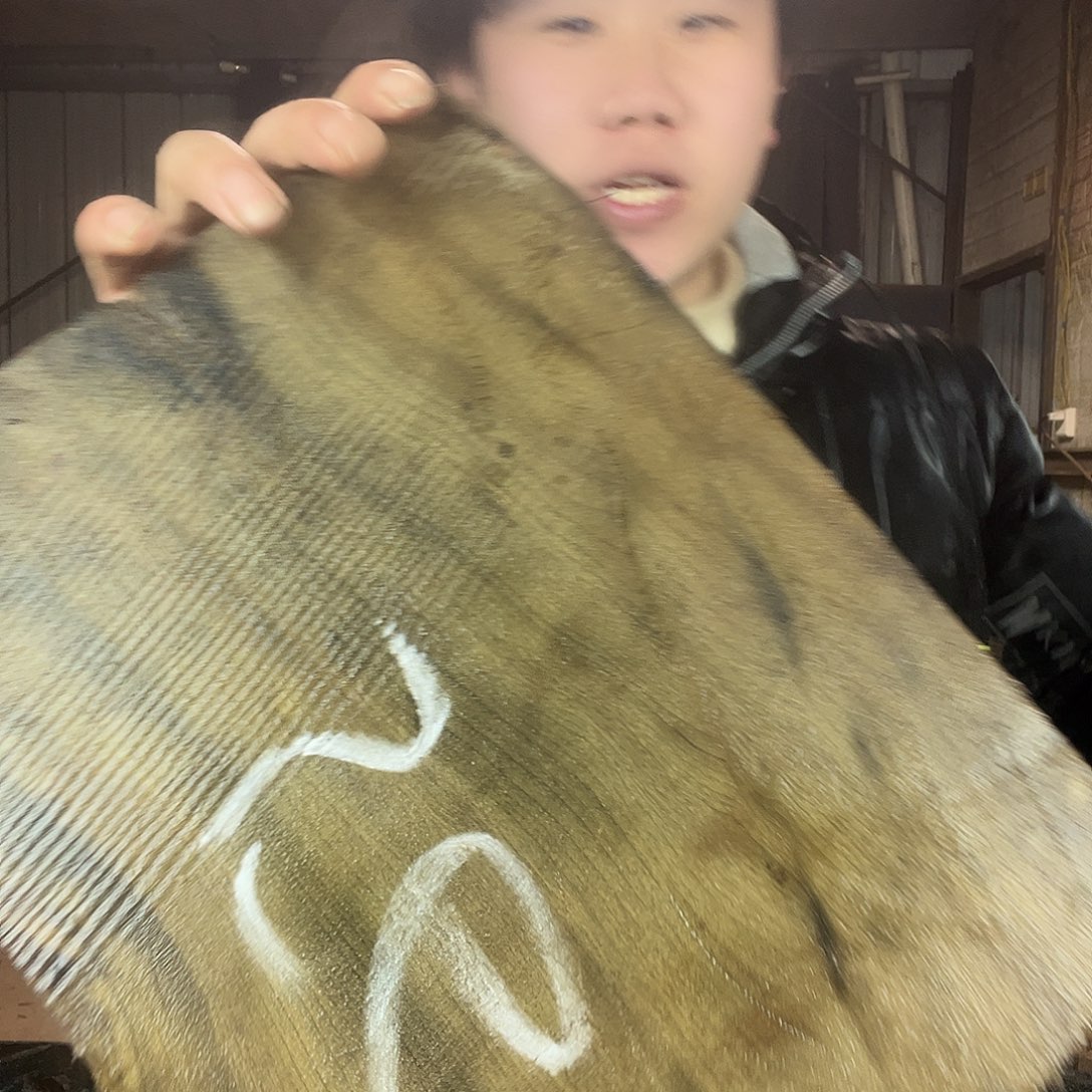 楠木金丝楠木金丝楠木