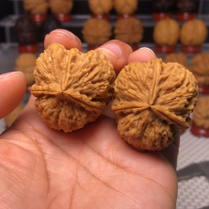 文玩核桃把件25三棱花中花