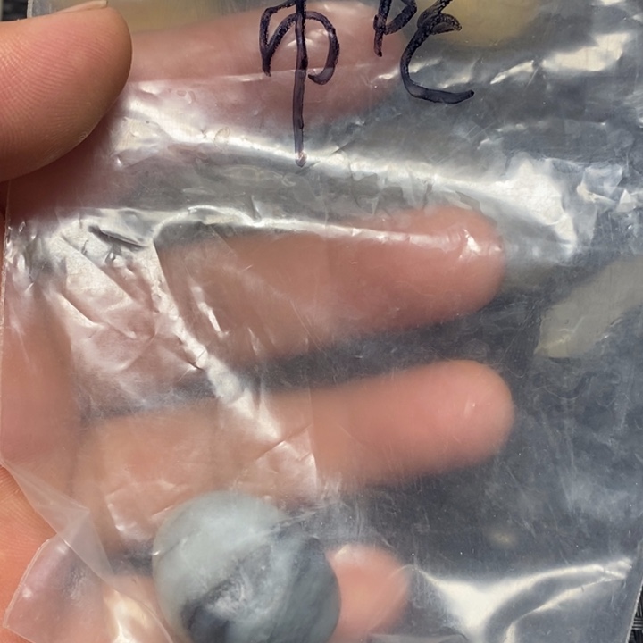 和田玉（白玉）珠宝奇石未镶嵌胡***师