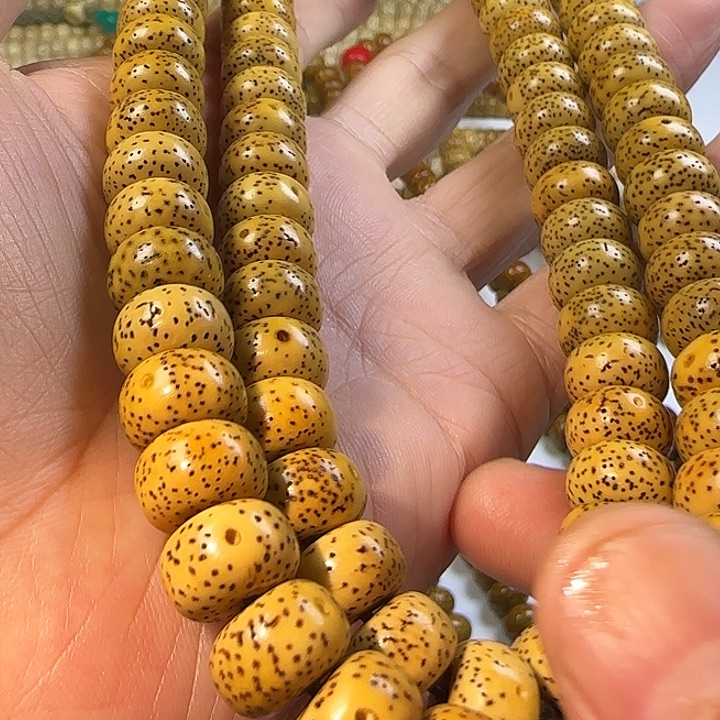 老脱脂星月菩提112