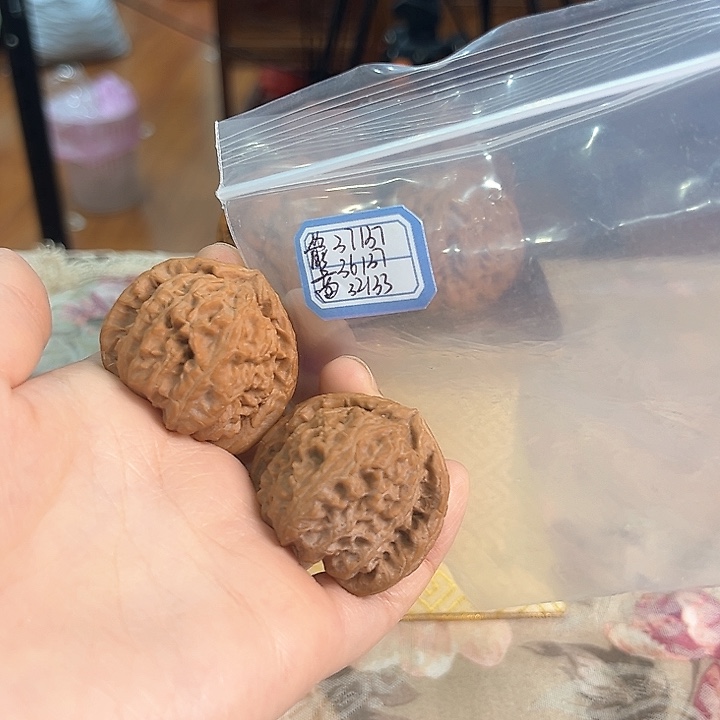 文玩核桃把件白狮子