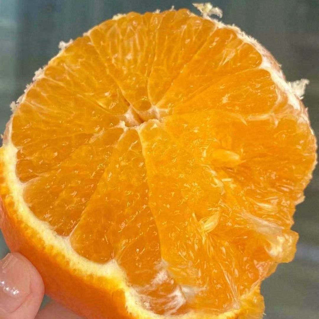 爱媛小镇果冻橙礼盒毛重9斤左右