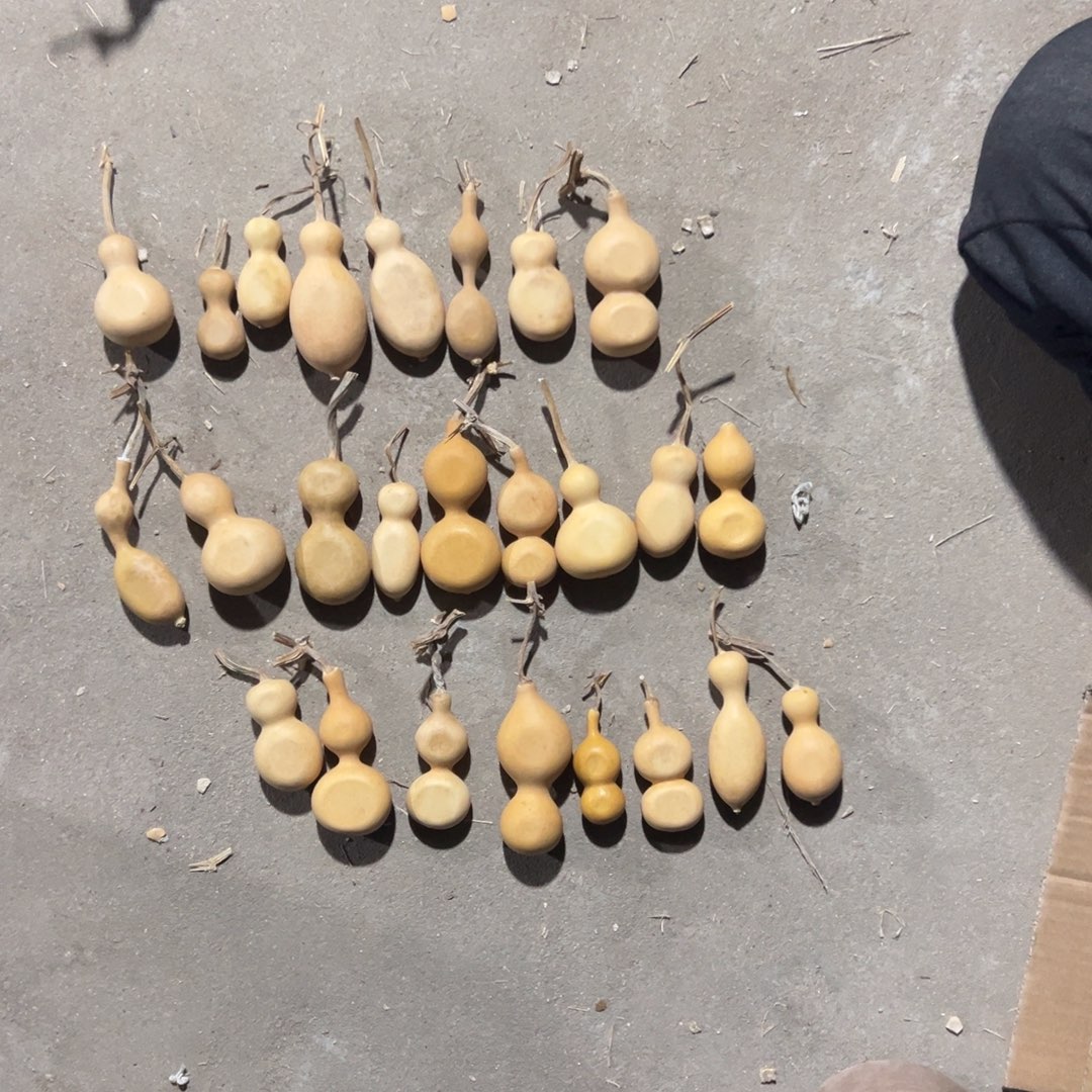 葫芦不错哈哈哈哈