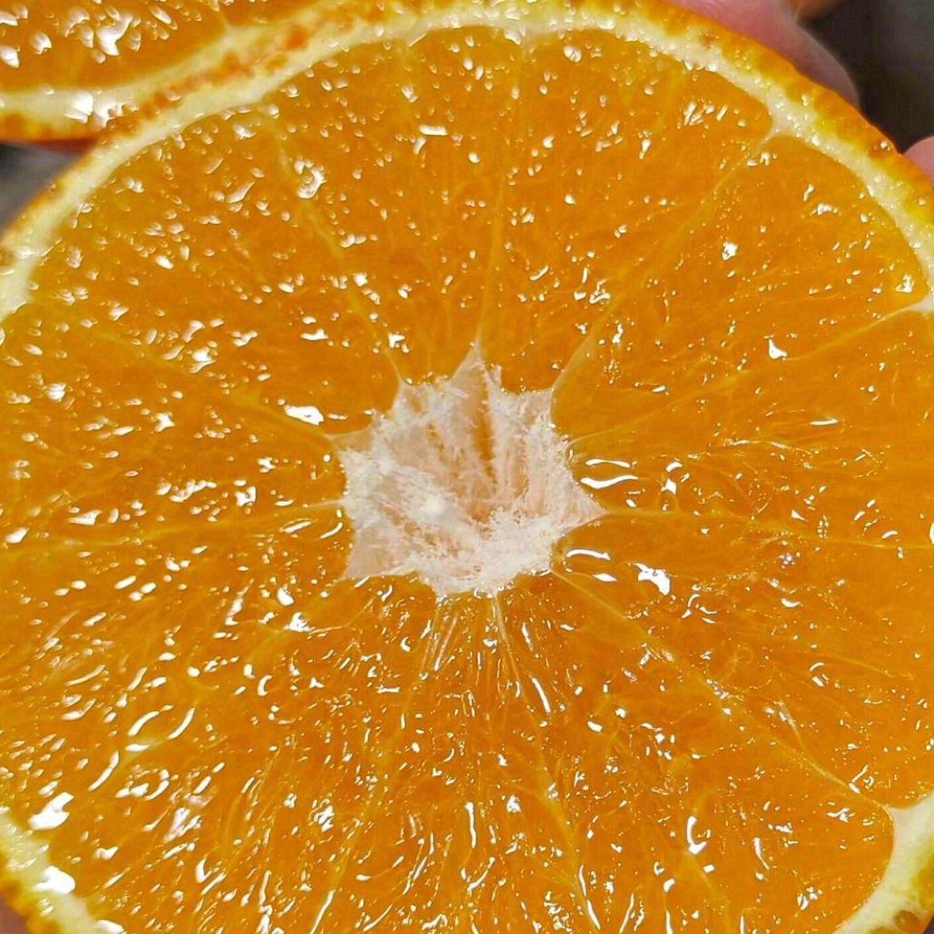 爱媛38果冻橙5斤