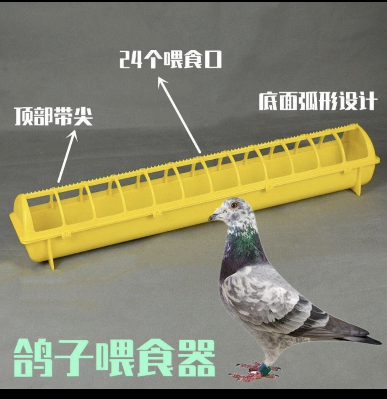 新款塑料鸽子食槽