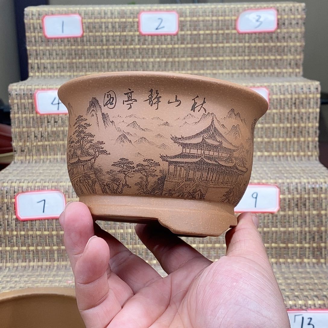 紫砂花盆我在等他