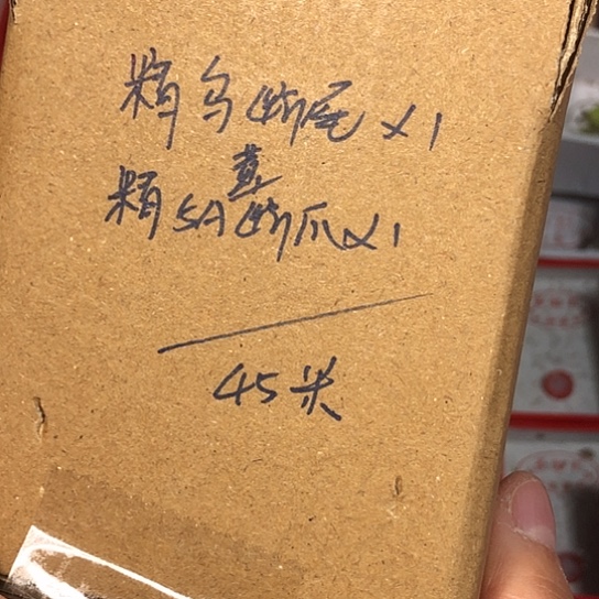 用***8蟋蟀是是是是是是是是是
