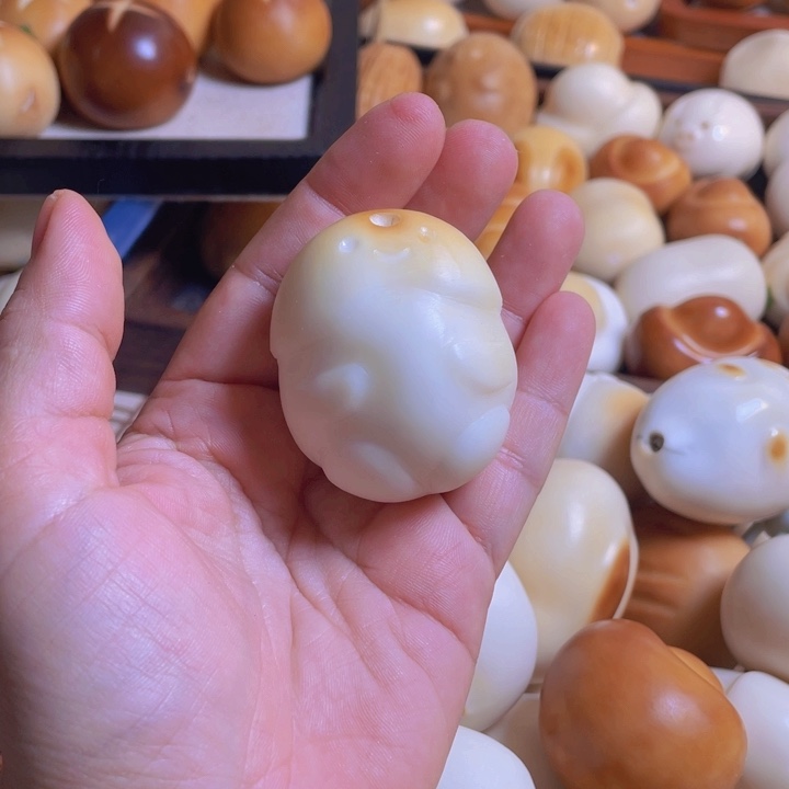 把件菩提根/象牙果
