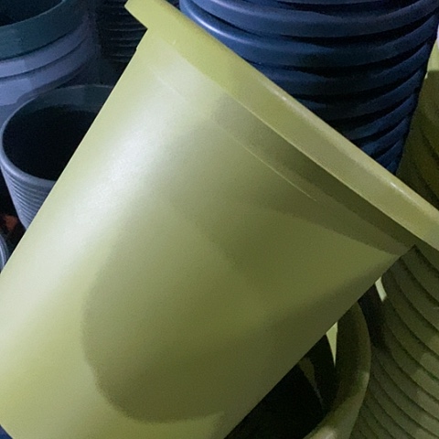 树脂四季7号微瑕果绿无托6个