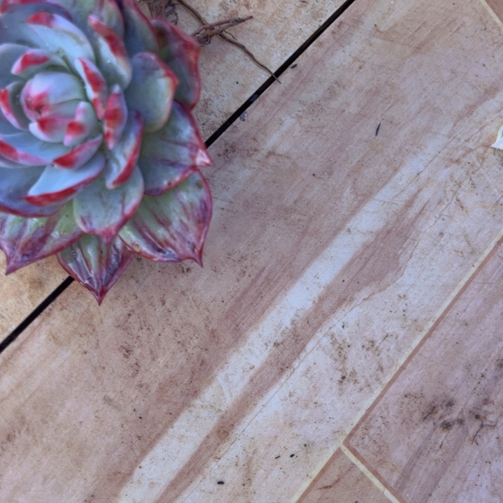 এ***℘1/////////////////////