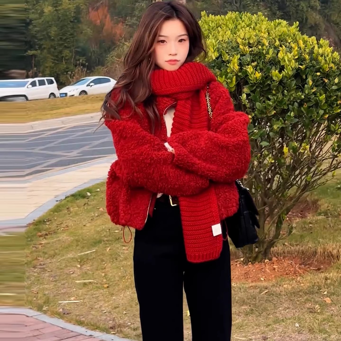 拉夏贝尔羊羔毛短外套女2025冬季新款洋气立领加厚保暖小个子上衣