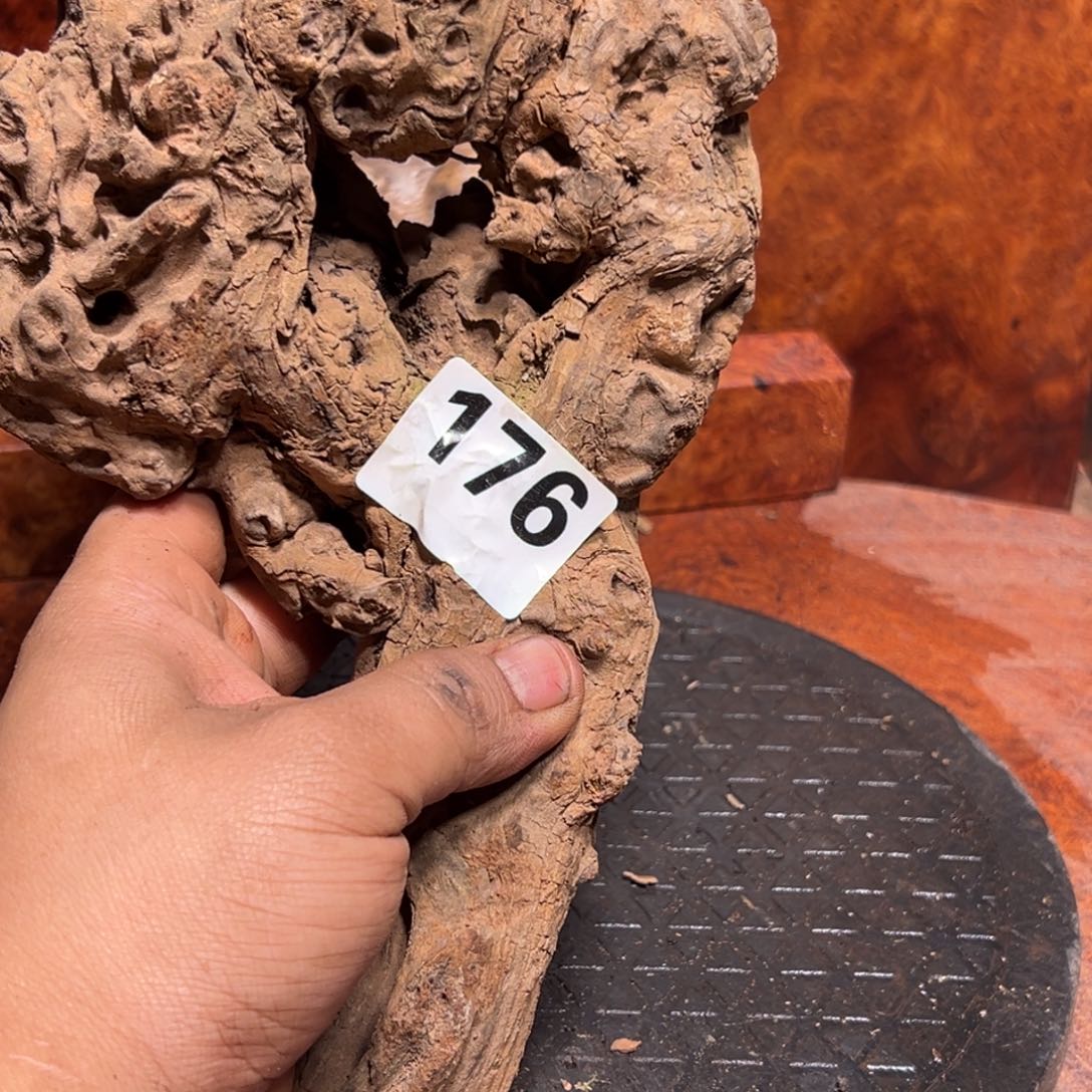 晗***旭大果紫檀（缅甸花梨）