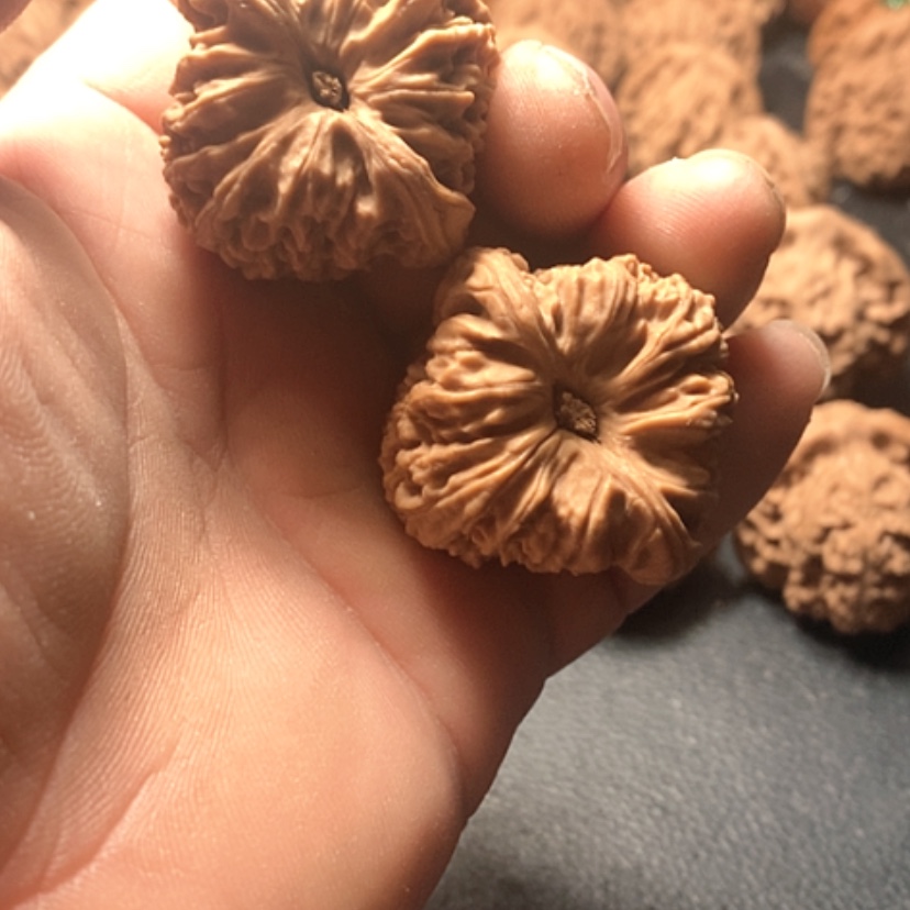 【闪购商品】执****老南疆