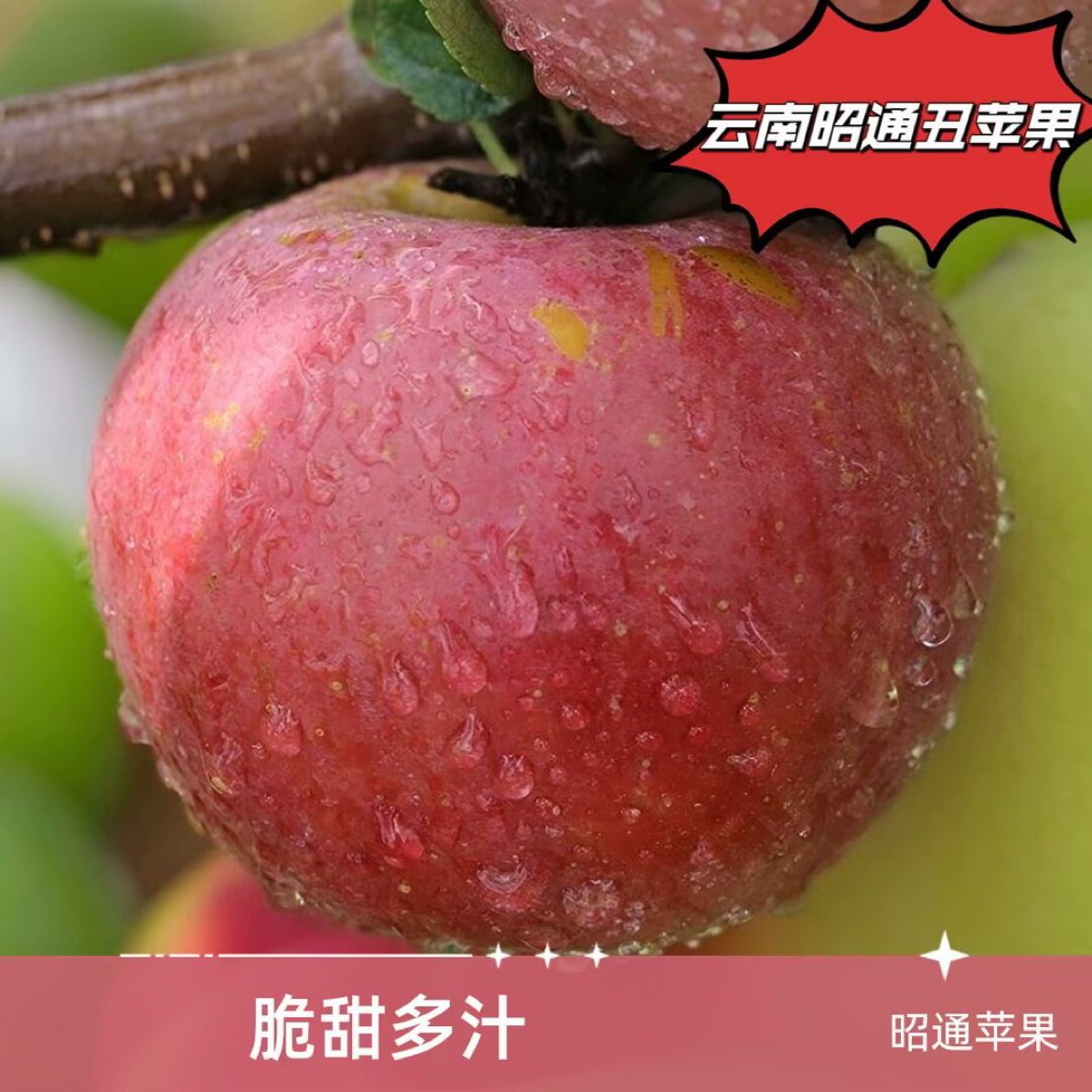 云南昭通丑苹果应季新鲜水果现摘现发坏果包赔