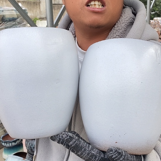 正品品质高20口16