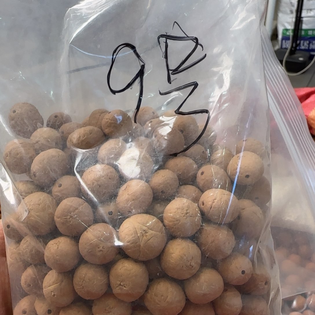 凤眼菩提吊坠9号龙眼散籽