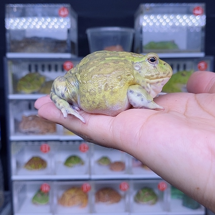 特价秒杀现货特价