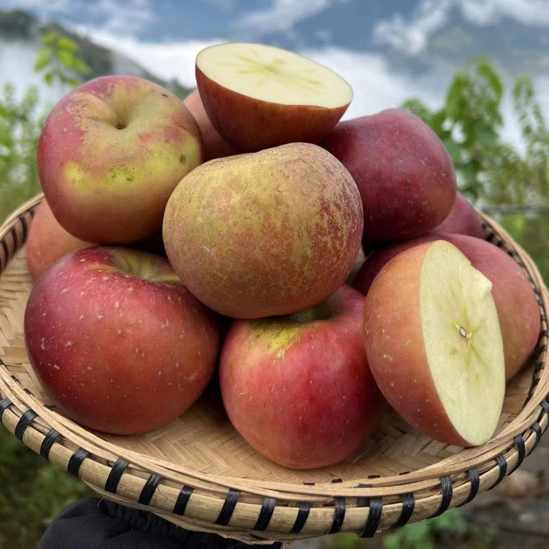 四川大凉山盐源糖心丑苹果  (顺丰快递）
