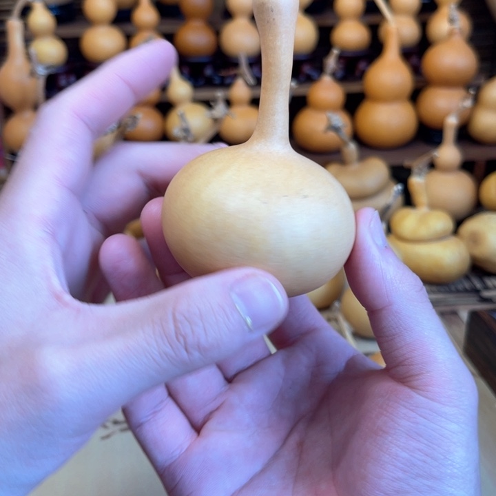 大肚子独霸厚皮响籽4