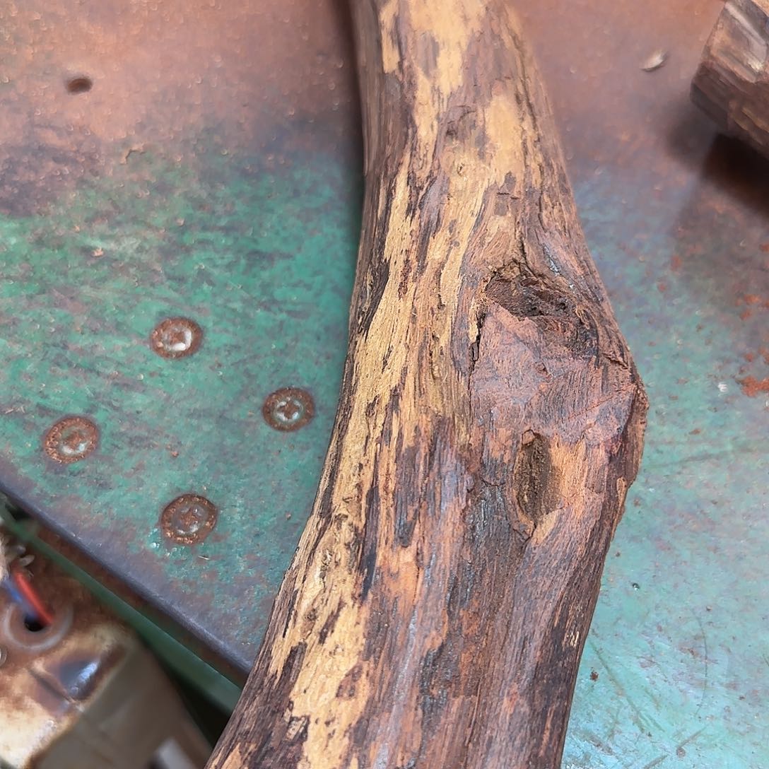 木木*臣降真香原木直发