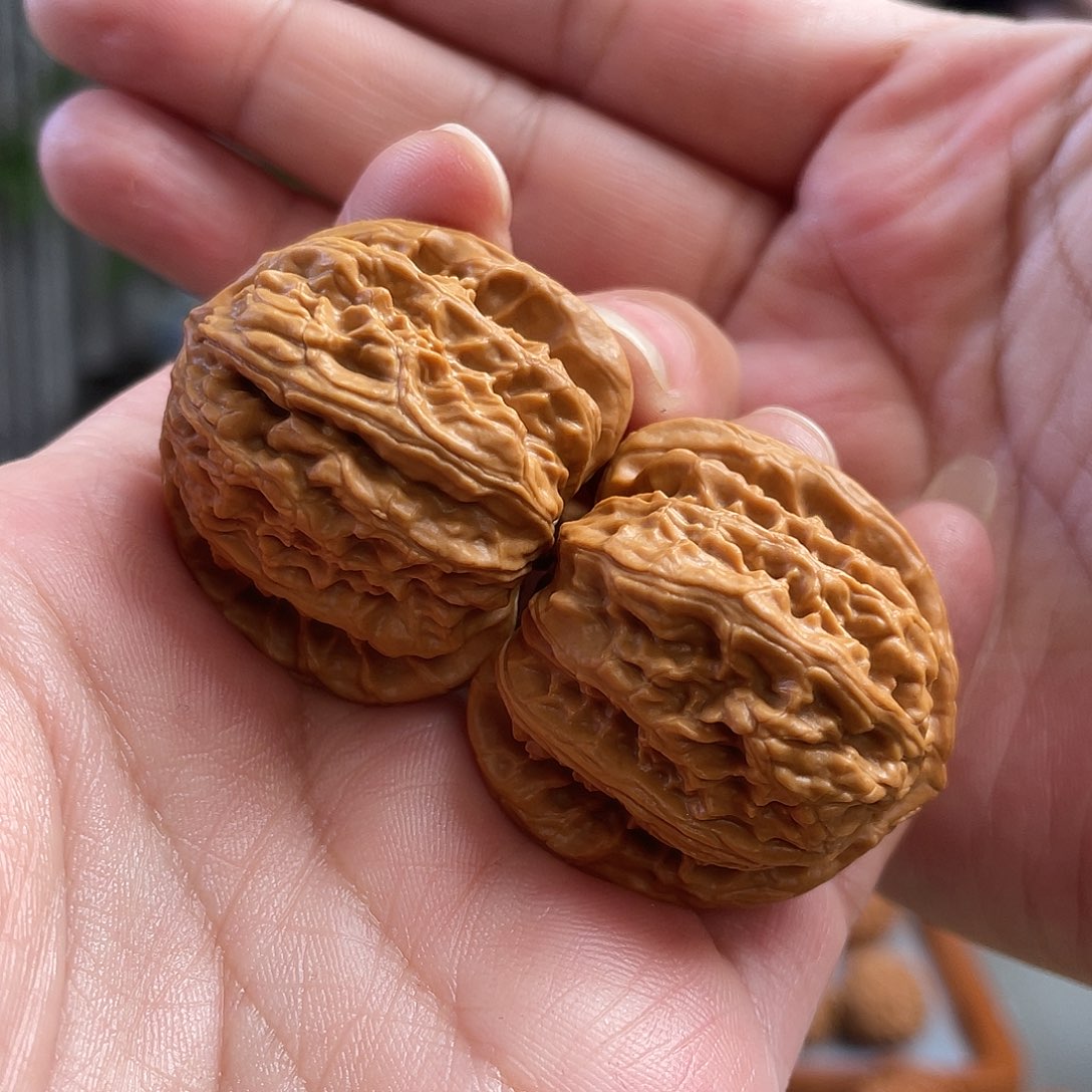 桃核把件36×35尺全品山地三角白狮子头CN01449已打底