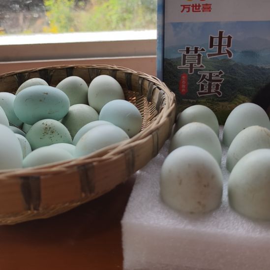 包装中国大陆15个