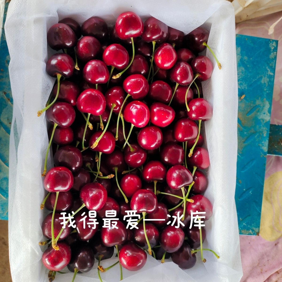 【宾酷】大连陆地樱桃宾酷3斤装脆甜可口现采摘JJ冰库樱桃