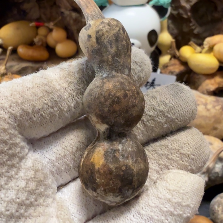 m***56666666666666777777