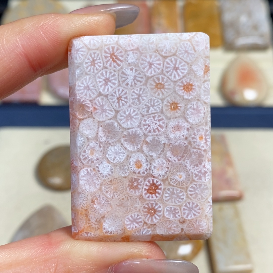 硅化玉未镶嵌吊坠