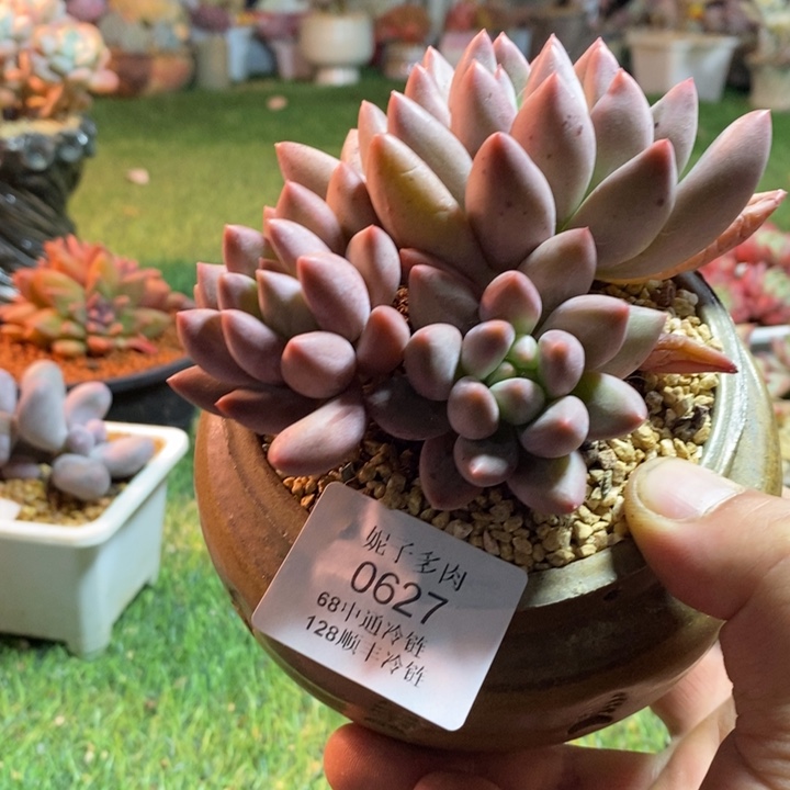 0627啊啊啊啊啊啊啊啊啊啊