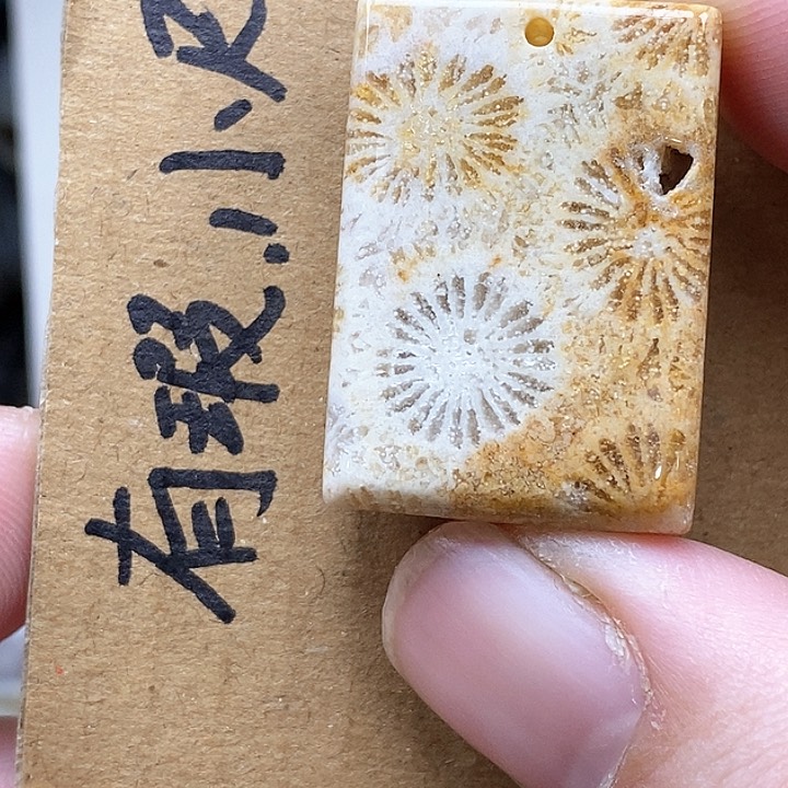 颈饰未镶嵌硅化珊瑚（珊瑚玉）