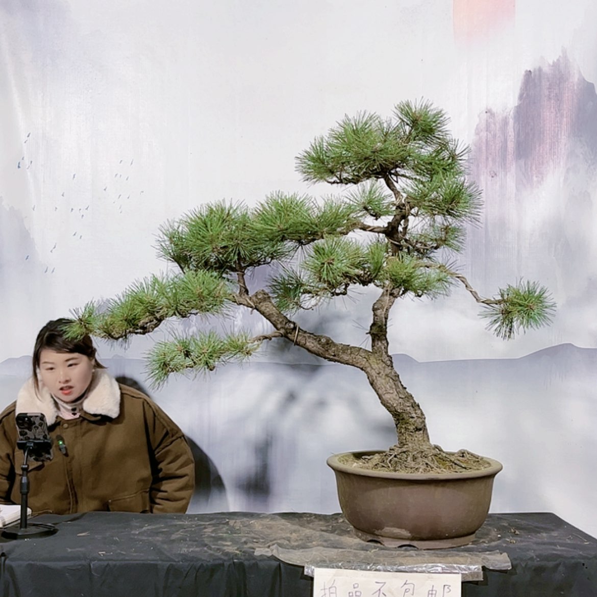 【闪购商品】运费到付