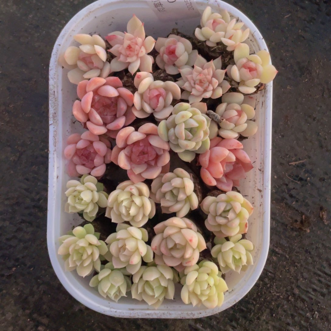 我们的生活方式是什么075