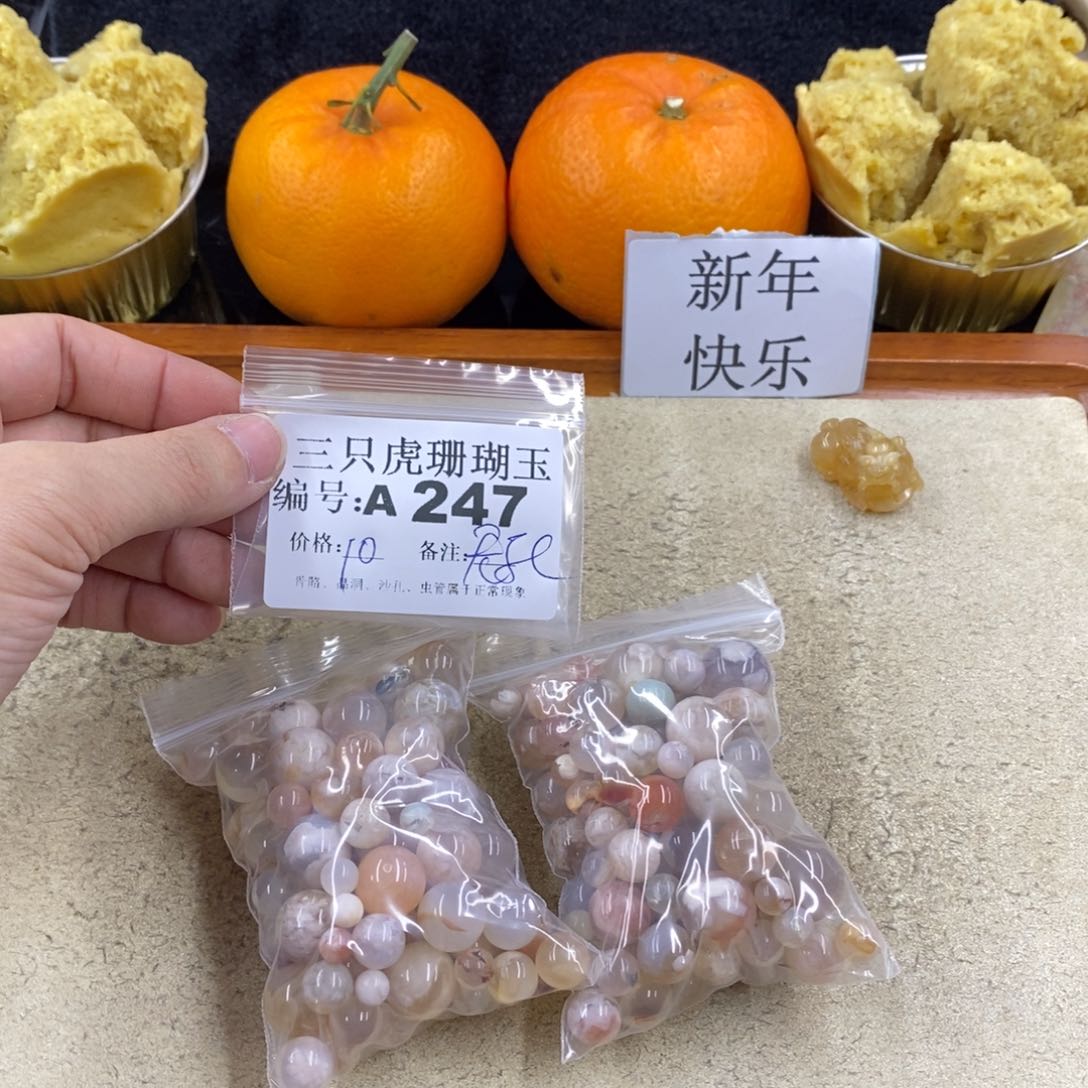硅化珊瑚（珊瑚玉）1未镶嵌墨*