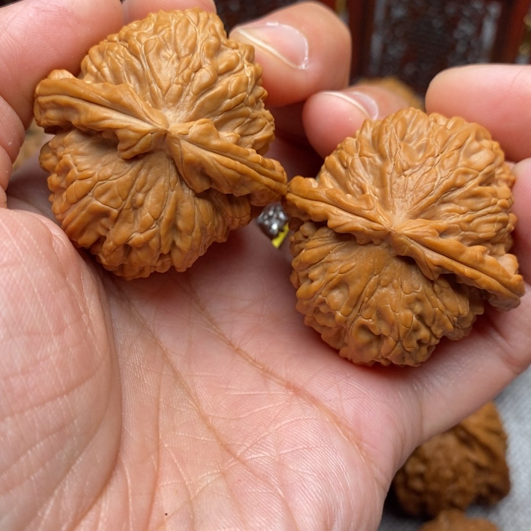 文玩核桃把件王*胆全品白狮子40尺