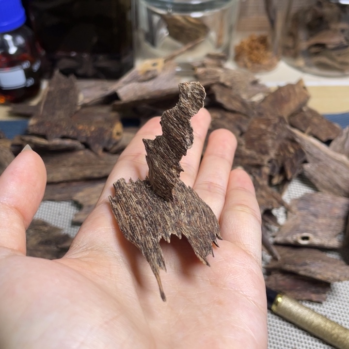 最***影沉香海南大山红油树心香3克